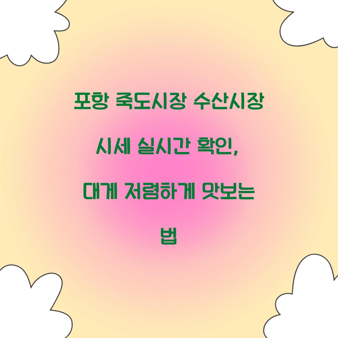 포항 죽도시장 수산시장 시세 실시간 확인