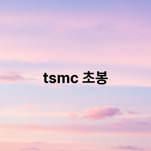 tsmc 초봉