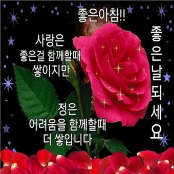 아침 인사로 좋은 글 이쁜글 기분좋은 인사말_6