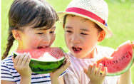 키크는 방법