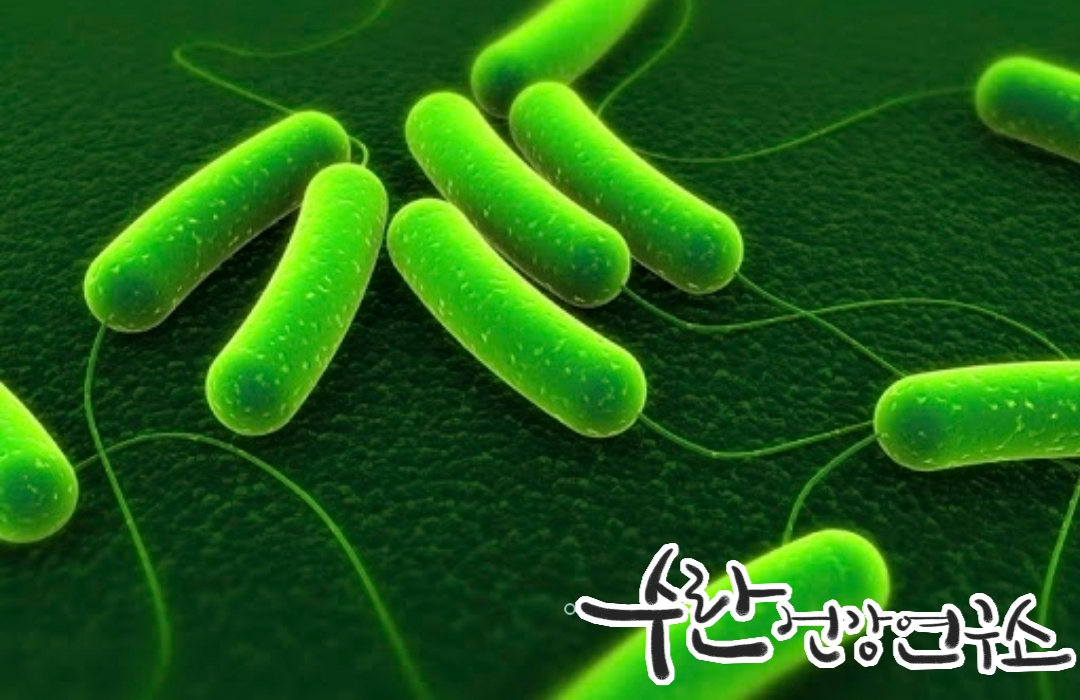 LGG 유산균 효능 부작용