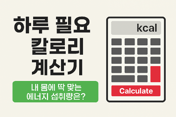 #건강계산기 #BMI계산기 #기초대사량계산기 #표준체중계산기 #물섭취량계산기 #칼로리계산기 #체중관리 #건강관리팁