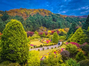 아침고요수목원 입장료 근처 맛집 펜션 추천_5