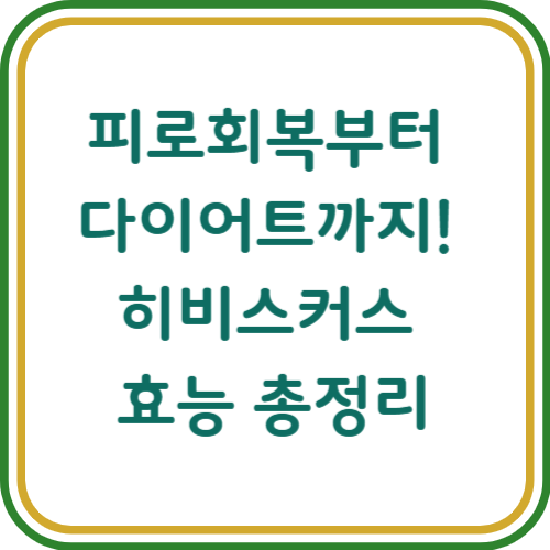 히비스커스의 효능