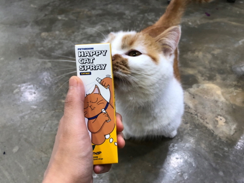 마따따비스프레이