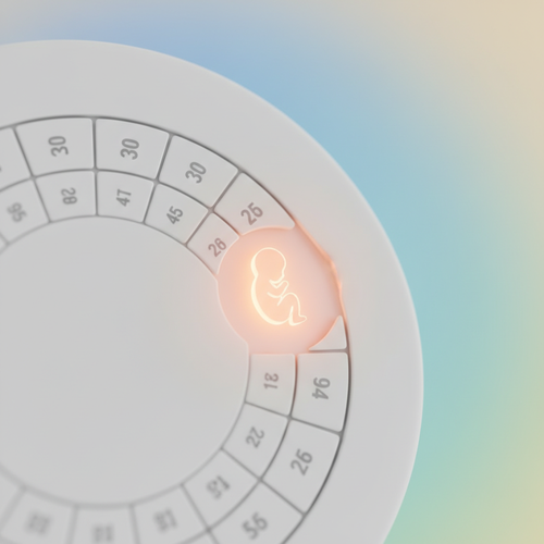 가입 시기별 고려사항과 놓치지 말아야 할 팁