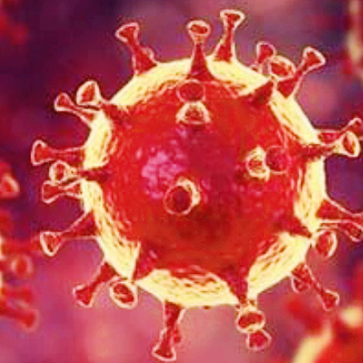 코로나 관련주 대장주 진단키트 테마주 TOP5