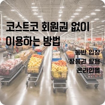 코스트코 회원권 없이 이용하는 방법