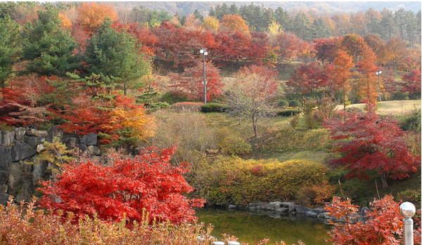 금강수목원