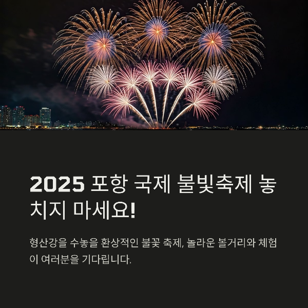 2025 포항 국제 불빛 축제 총정리