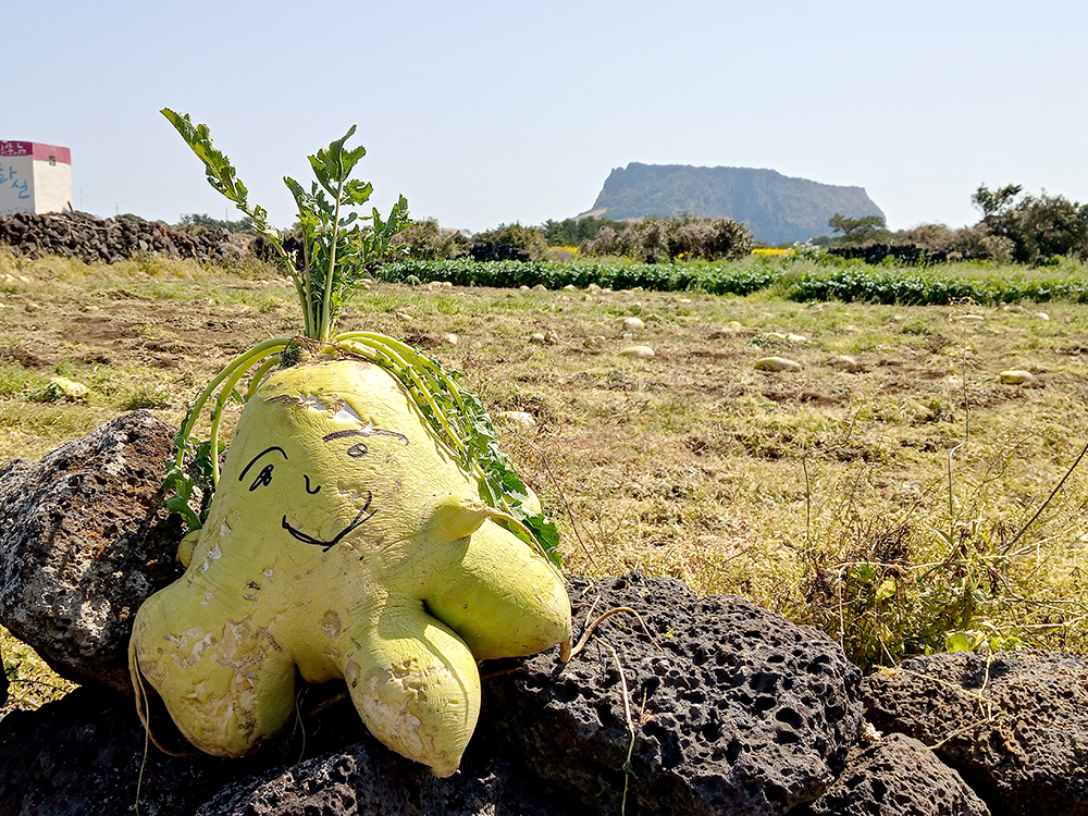 올레2코스: 오조리마을