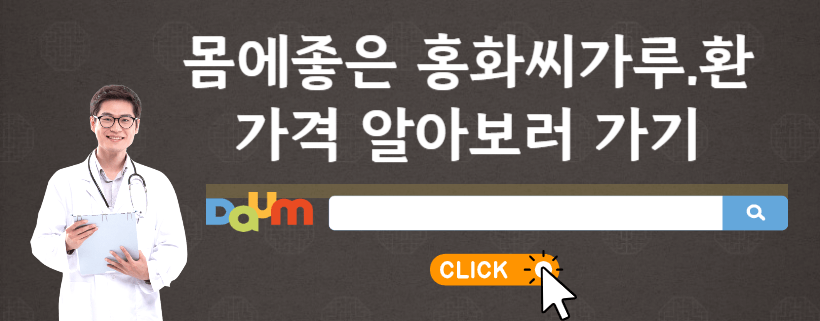 홍화꽃 홍화씨