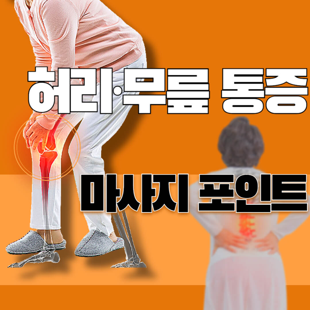 허리&middot;무릎 통증