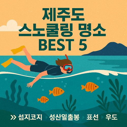 제주도 스노클링 명소 BEST 총정리! 동·서·남·북 어디서든 즐기는 바닷속 여행