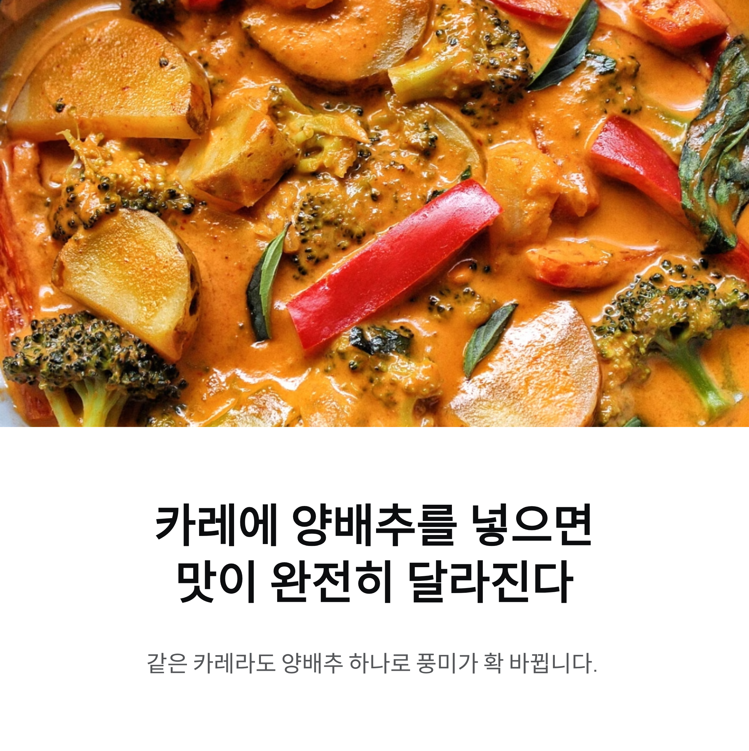 카레에 양배추를 넣었을 때 달라지는 맛의 차이와 조화로운 활용법