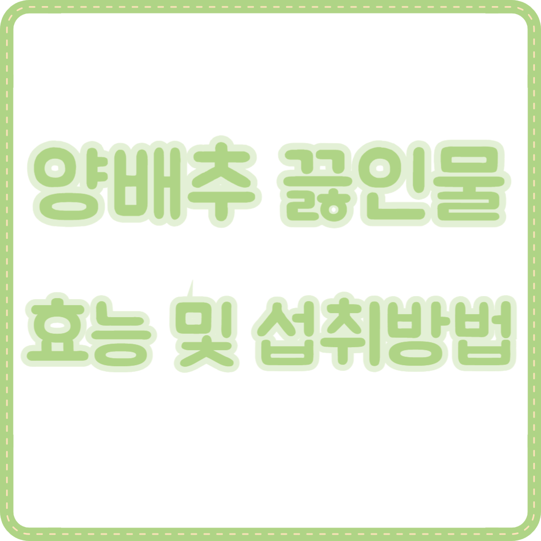 양배추 끓인물 효능