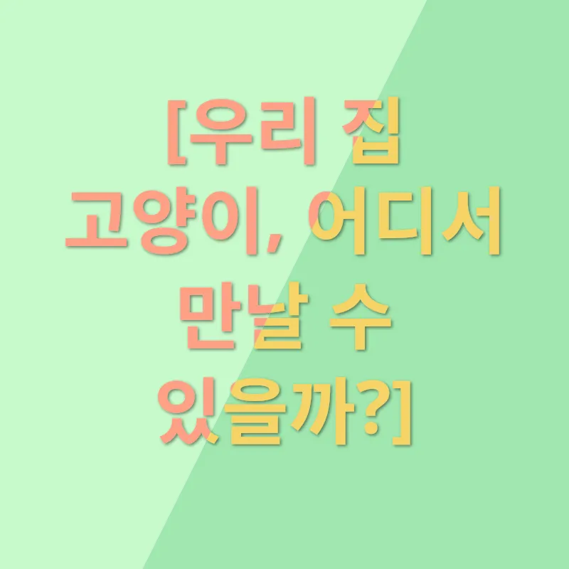 안전한 고양이 입양_1