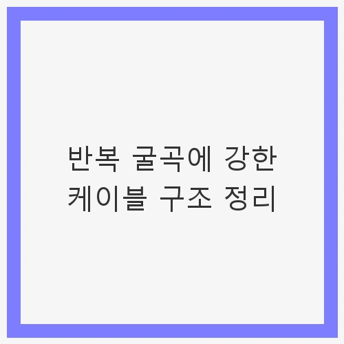 안정적인 네트워크 구축