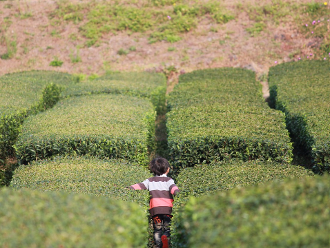 제주-렌터카-추천