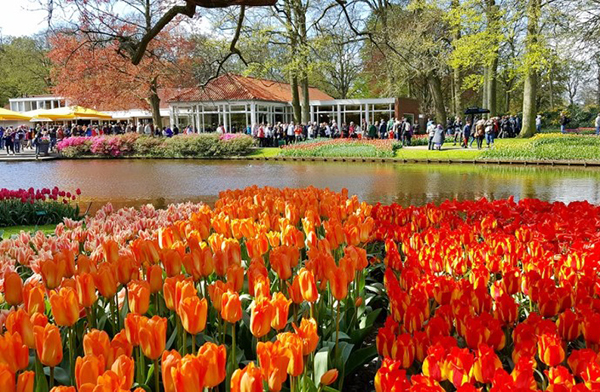 2025 캐나다 오타와 튤립축제