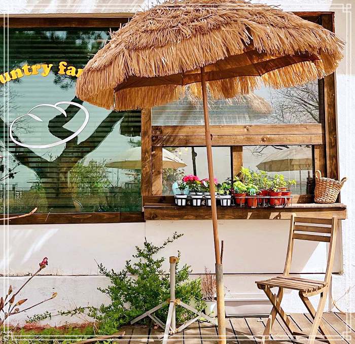 생방송투데이 서울 근교 강화 디저트 베이커리 카페 강화도 속노랑 고구마빵 맛집