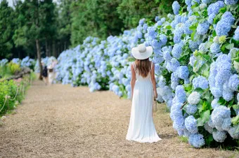 제주 여름 축제 일정표 불꽃놀이 포함 행사 소개_20