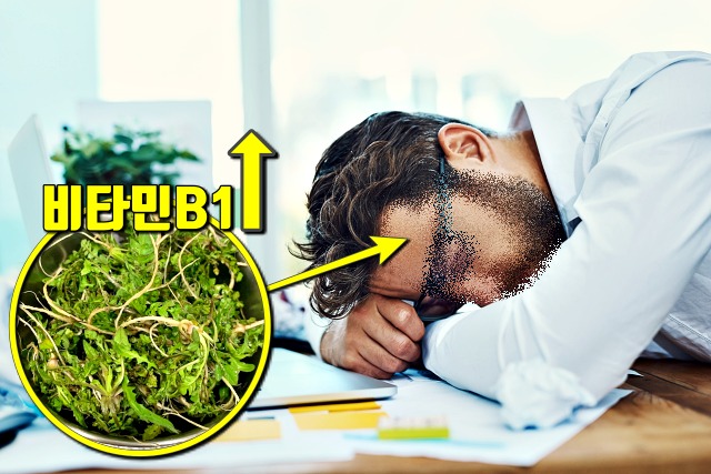 냉이 효능 피로회복 비타민,간에좋은음식,팁줌