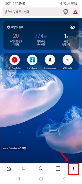 Brave 앱 메인화면