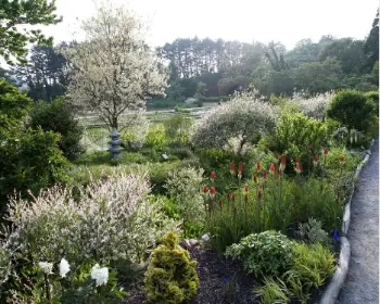 천리포수목원 목련 축제_20