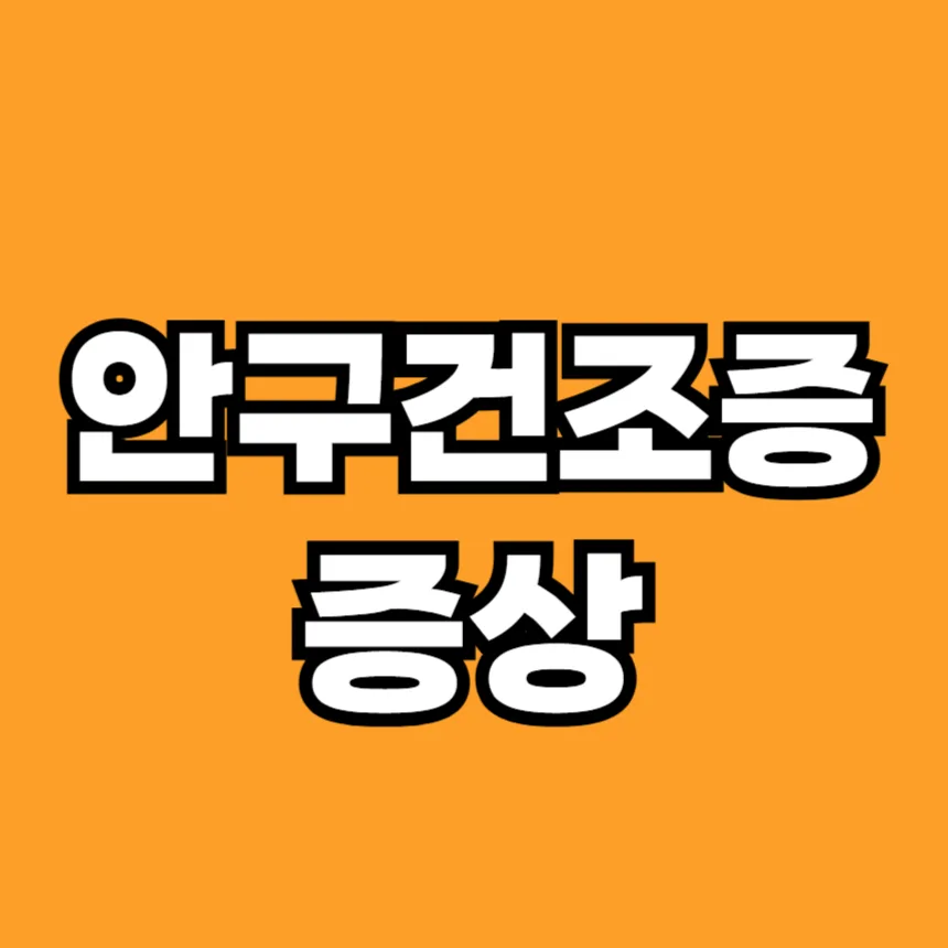 안구건조증 증상