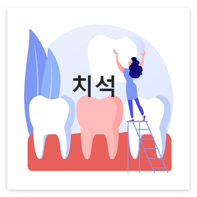 치석