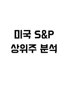 미국 S&P 500 상위주 분석에 관한 이미지 입니다.
