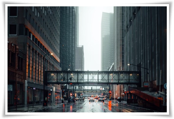 웰빙 "2025년 장마" 폭염과 폭우? 기상청 전망부터 대비까지 총 정리!