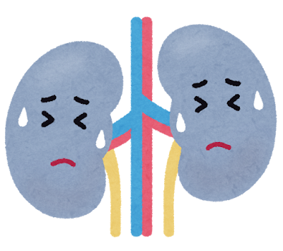 말기 신부전증의 치료