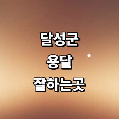 대구 달성군 용달