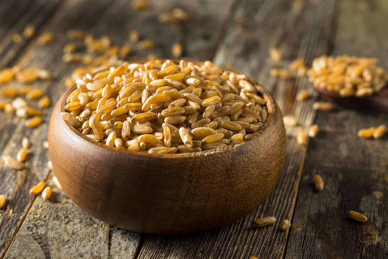 호라산밀(Khorasan wheat) 카무트(Kamut)