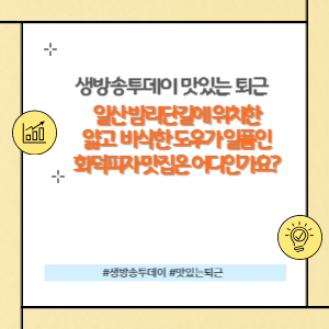 일산화덕피자맛집