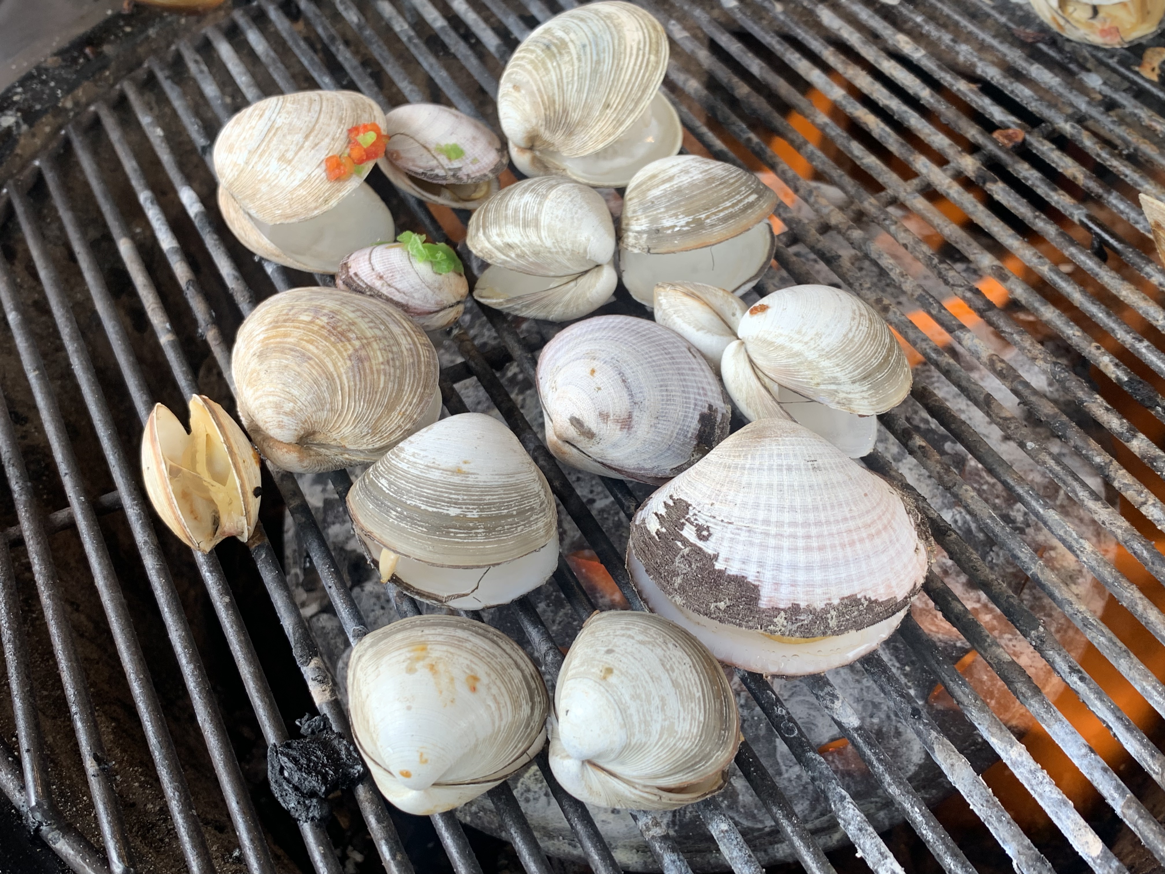 영종도 조개구이