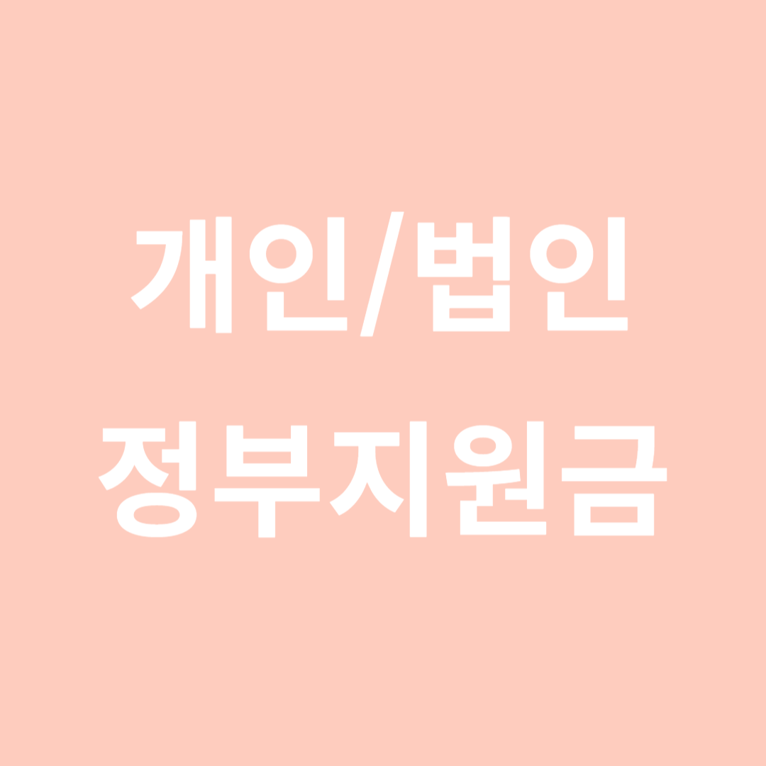 개임/법인 정부지원금