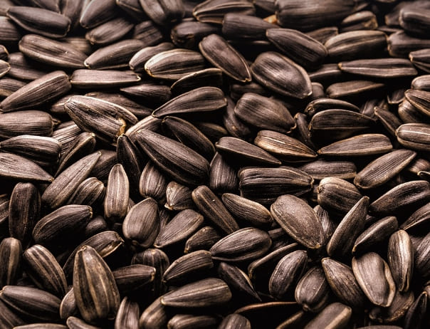 당뇨에 좋은 음식과 나쁜 음식