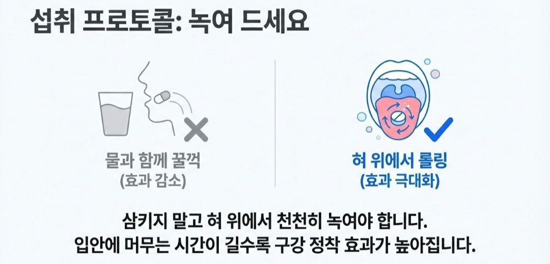 구강유산균-사진8