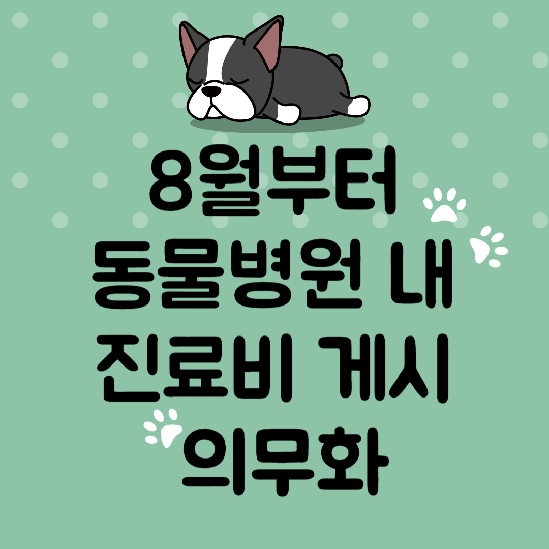 8월부터 동물병원 내 진료비 게시 의무화