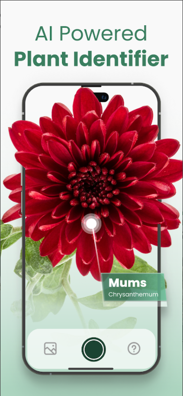 식물이름 찾기 어플, 식물, 꽃, 나무, 다육 식물, 버섯 식별 하기