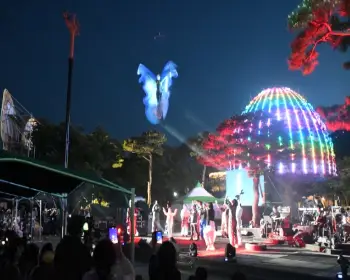 함평 나비축제_6