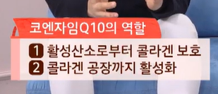 코엔자임큐텐의 효능