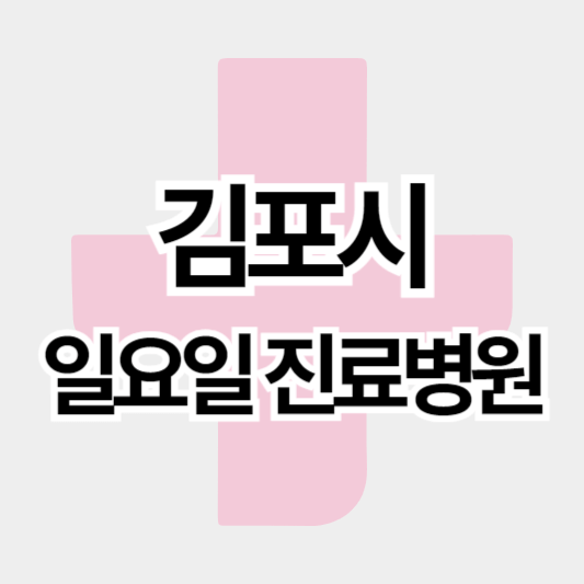 김포시_일요일진료병원_썸네일