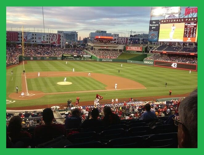 야구-경기-보는 사람들