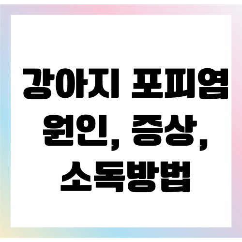 강아지 포피염 원인, 증상, 소독방법