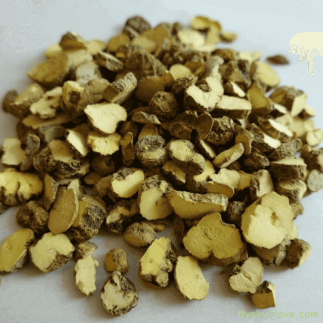 건조시킨 현호색