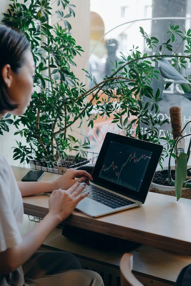 2024 연말정산 미리보기 서비스